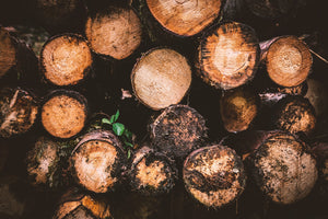 What You Need To Know About Sustainably Sourcing Wood