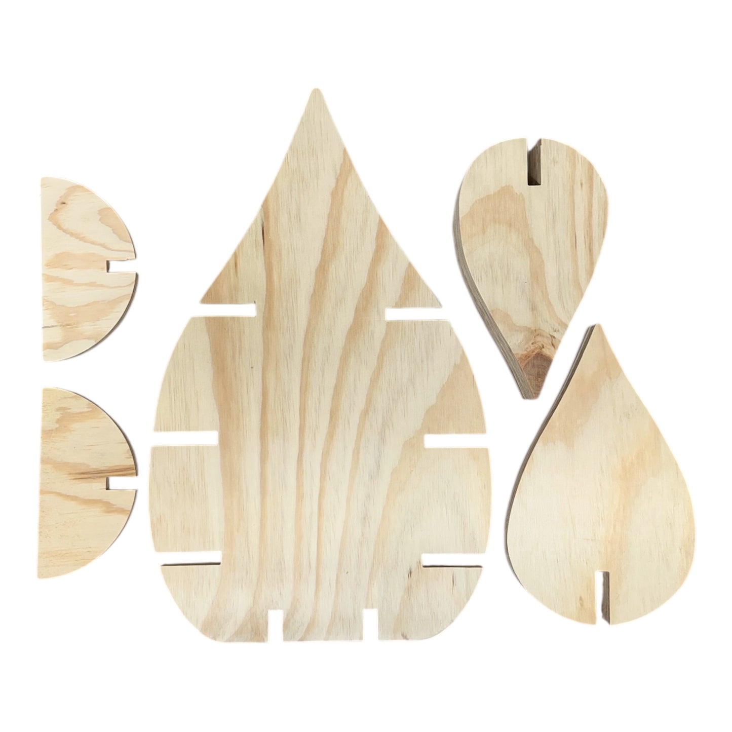 Leaf Shaped Plywood Display