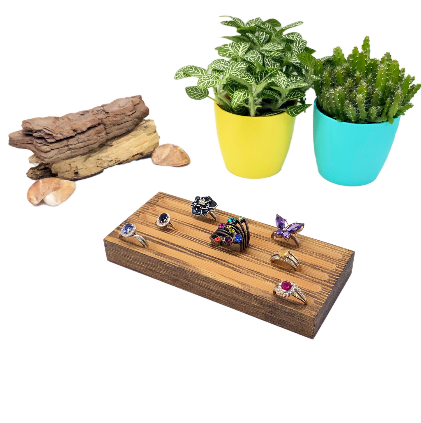 Slotted Ring Display