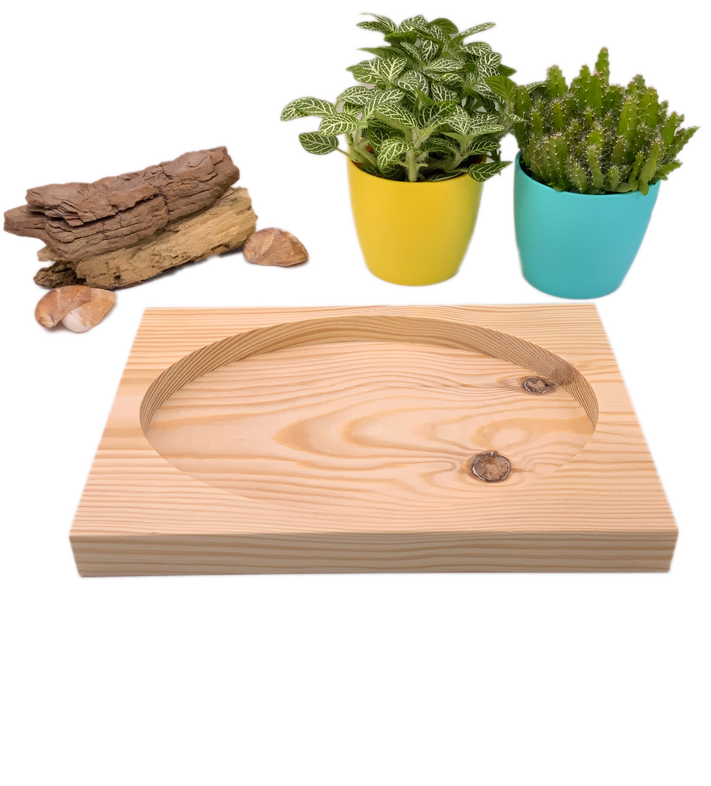 Wooden oval catch all dish