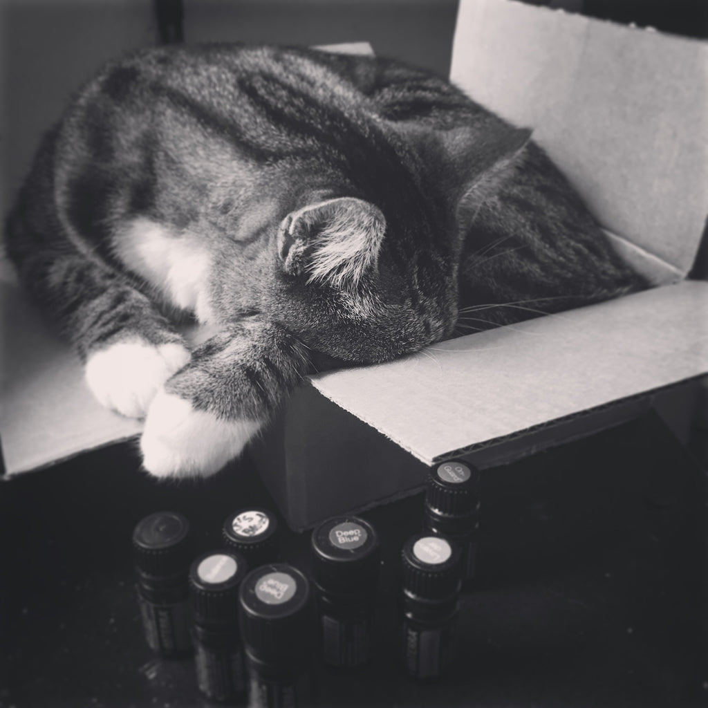 How Much Packaging Do You Need?
