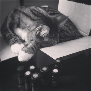 How Much Packaging Do You Need?