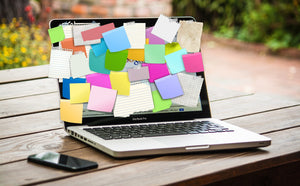 The Internet, The Entrepreneurs, The Future