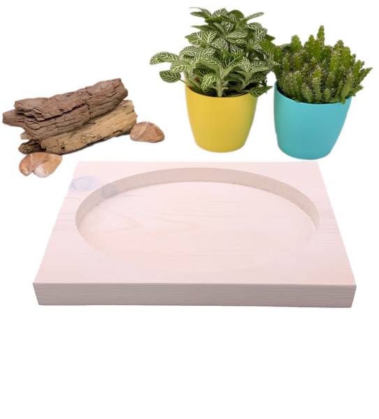 Wooden oval catch all dish 